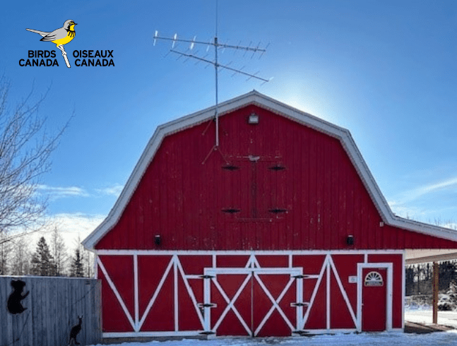 Look what's new on top of the Zoo's big, red barn!